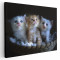 Tablou 3 pisicute in cosulet Tablou canvas pe panza CU RAMA 70x100 cm