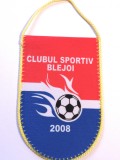 Fanion fotbal - CS BLEJOI