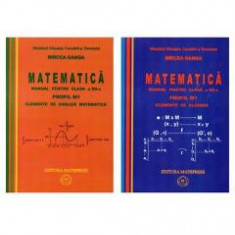 Manual matematica Clasa 12 M1 - 2 Volume 2007 - Mircea Ganga