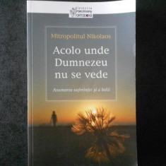 MITROPOLITUL NIKOLAOS - ACOLO UNDE DUMNEZEU NU SE VEDE