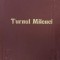 Turnul Milenei - Ionel Teodoreanu