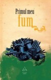 Primul meu fum - Andra Matzal - Editura Grupul Art