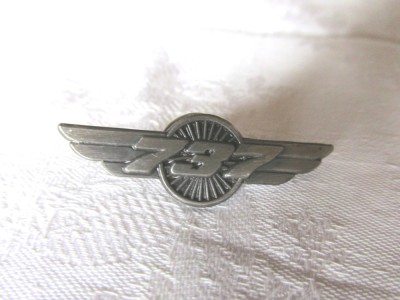 Insigna - pin Avion Boeing 737 (sigla), noua foto