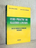 Curs practic de algebra liniara cu 327 exercitii si probleme rezolvate - Rodica-Mihaela Danet, 2004, ACS