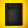 Delicatesse Constantin Brancusi catalog album arta Franta 1985 de Sidney Geist
