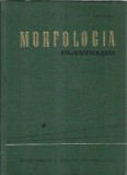 Cumpara ieftin Curs de botanica. Morfologia plantelor - I. Ciobanu