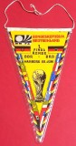 Fanion de colectie-meci fotbal DDR (Germania Democrata) - RFG (Germania Federala) Campionatul Mondial 1974