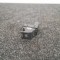 VW PASSAT Variant B6 3C5 2006 OEM: 1F0959855 SKU: 2298298