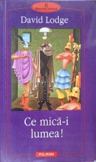 CE MICA-I LUMEA!-DAVID LODGE-274678