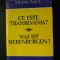 Ce este Transilvania? Was ist Siebenburgen?,Stefan Pascu