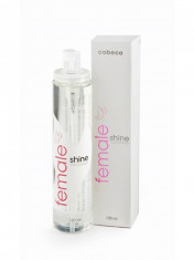 Female Shine Toycleaner - 120 ml foto