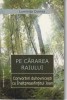 LUMINITA CORNEA - PE CARAREA RAIULUI ( CONVORBIRI DUHOVNICESTI...)