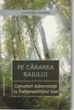 LUMINITA CORNEA - PE CARAREA RAIULUI ( CONVORBIRI DUHOVNICESTI...)