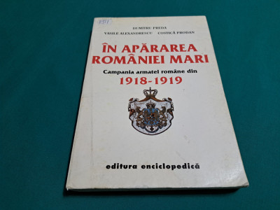 &amp;Icirc;N APĂRAREA ROM&amp;Acirc;NIEI MARI * CAMPANIA ARMATEI ROM&amp;Acirc;NE DIN 1918-1919 *D. PREDA * foto