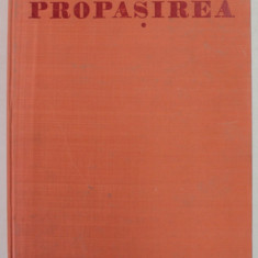 PROPASIREA . FOAIE STIINTIFICA SI LITERARA de PAUL CORNEA , 1980