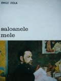 Saloanele mele - Emile Zola