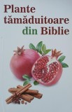 Plante tamaduitoare din Biblie