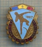 Y 831 INSIGNA -A 2-A SPARTACHIADA A TINERETULUI -1957 -PENTRU COLECTIONARI