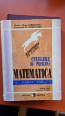 Viorica Elena Carbunaru Culegere de probleme. Matematica clasele V-VIII