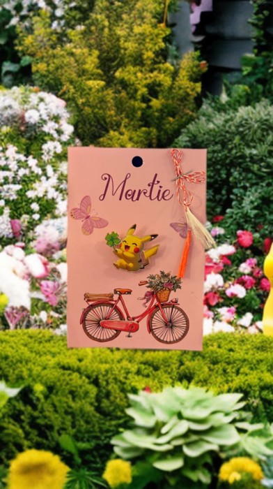 Martisor Pokemon