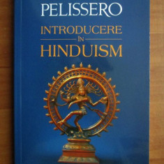 Alberto Pelissero - Introducere in hinduism