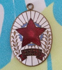 Insigna Fruntas in Productie foto