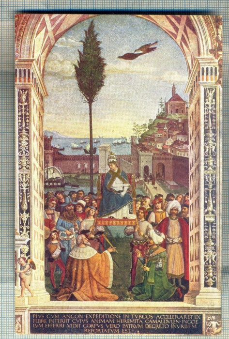 AD 319 C. P. VECHE RELIGIE-SIENA -LIBRERIA DEL DUOMO -PINTURICCHIO... - ITALIA