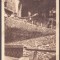803 - CAMPULUNG, Arges, Dambovicioara Cave, Romania - old postcard - unused