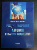 Piata Europeana A Muncii Prezent Si Perspective - Sorin -toma Andrei ,541393