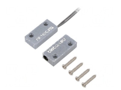 Senzor reed: Senzor magnetic foto