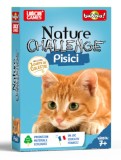 Joc educativ, Bioviva, Nature Challenge: Pisici