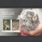 NORFOLK ISLANDS 2022 FAUNA PASARI BUFNITE