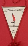 Fanion-Finala Campionatului Republican Gimnastica a Scolilor Sportive SIBIU 1968