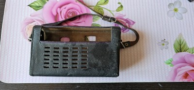HUSA RADIO SOKOL 403 . foto