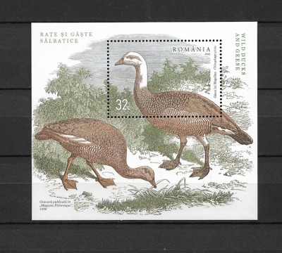 ROMANIA 2022 - RATE SI GASTE SALBATICE, COLITA, MNH - LP 2378a foto