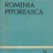 Rominia pitoreasca