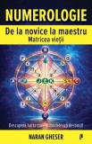 Numerologie de la novice la maestru. Matricea Vietii, Librex media international