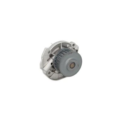 Pompa apa FIAT BRAVA 182 AIRTEX 1603 foto