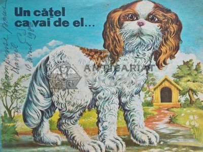 Un catel ca vai de el... - 1969 - Ion Cringuleanu (E189) foto