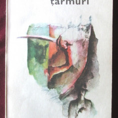 INTRE DOUA TARMURI, Henry James, 1980. Colectia "Romanul de dragoste"