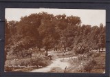 TURNU MAGURELE VEDERE DIN PARC CIRCULATA 1937, Fotografie