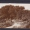 TURNU MAGURELE VEDERE DIN PARC CIRCULATA 1937