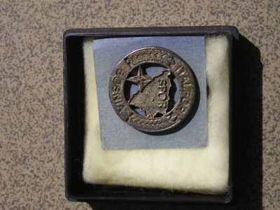 QW9 N2 90 - insigna - militar - misiune militara in Bosnia - SFOR foto
