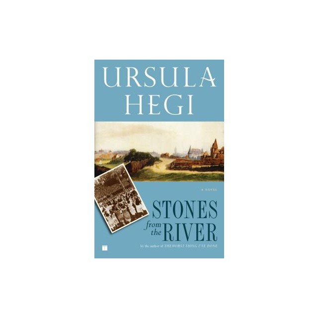 Stones from the River