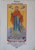 Drumul Crucii - Protos. Nicodim Mandita (1994) - Carte Crestinism, Religioasa