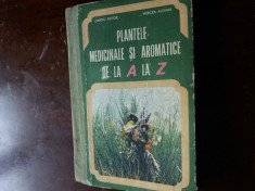 plantele medicinale si aromatice de la AlaZ foto