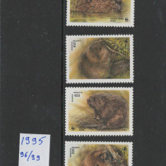 Belarus 1995 nestampilat - Mi 96/99 - Mamifere, fauna, WWF