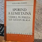 Sporind a lumii taina. Verbul in poezia lui Lucian Blaga - Alexandra Indries
