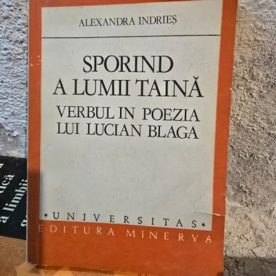 Sporind a lumii taina. Verbul in poezia lui Lucian Blaga - Alexandra Indries foto