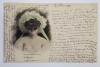 CARTE POSTALA , ILUSTRATA PE VERSO , LES SAISONS DES DENTS , 1900